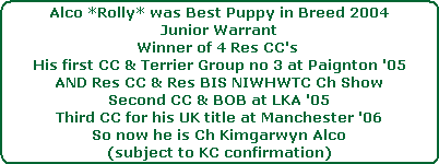 Alco *Rolly* was Best Puppy in Breed 2004




Junior Warrant




Winner of 4 Res CC's 




His first CC & Terrier Group no 3 at Paignton '05




AND Res CC & Res BIS NIWHWTC Ch Show




Second CC & BOB at LKA '05




Third CC for his UK title at Manchester '06




So now he is Ch Kimgarwyn Alco




(subject to KC confirmation)